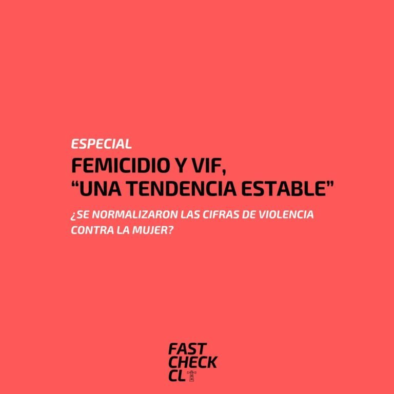 Lee más sobre el artículo Femicidio y VIF, “una tendencia estable”
