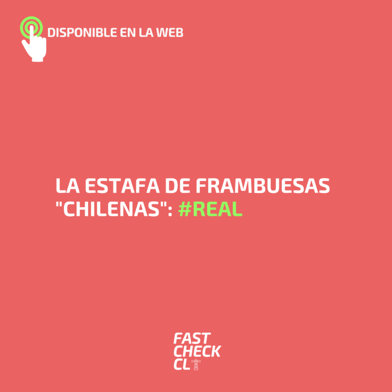 Lee más sobre el artículo La estafa de frambuesas “chilenas”: #Real