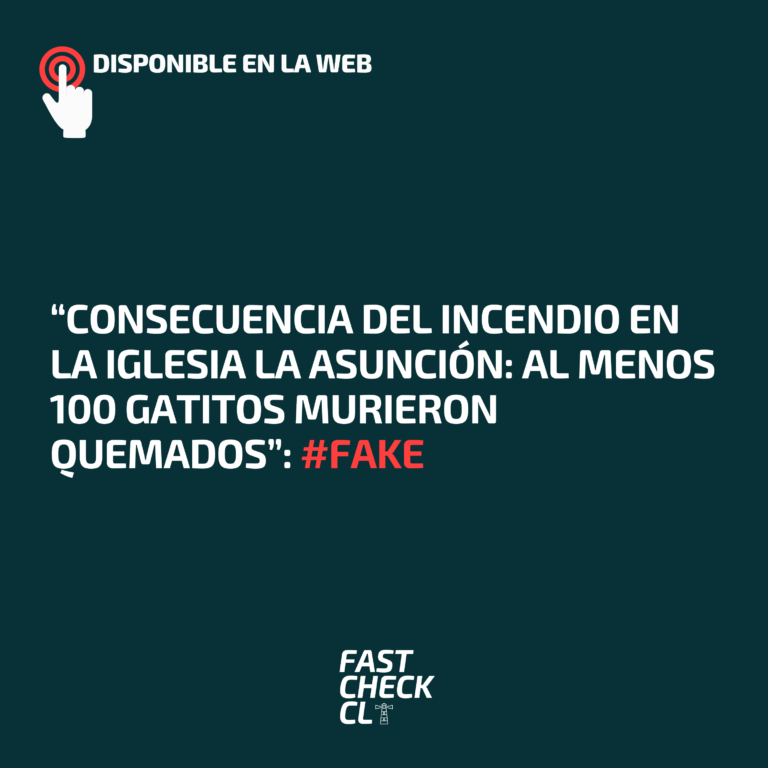 Lee más sobre el artículo “Consecuencia del incendio en la Iglesia La Asunción: Al menos 100 gatitos murieron quemados”: #Fake
