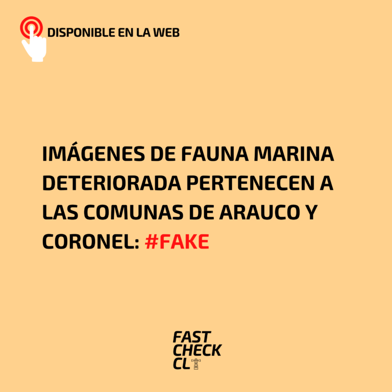 Lee más sobre el artículo Imágenes de fauna marina deteriorada pertenecen a las comunas de Arauco y Coronel: #Fake