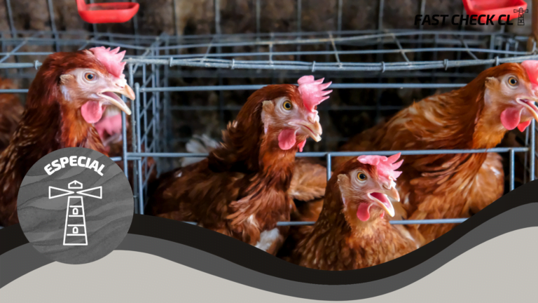 Lee más sobre el artículo Rusia: Casos de gripe aviar A (H5N8) en humanos
