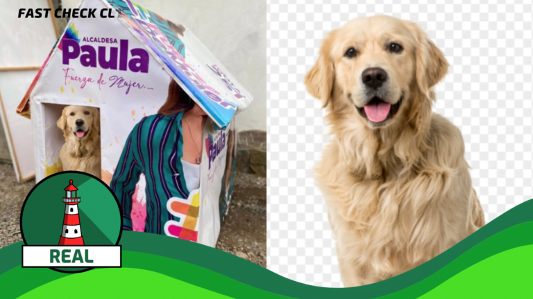Lee más sobre el artículo Alcaldesa de Parral editó una fotografía que utilizó para hacer propaganda a su reelección: #Real
