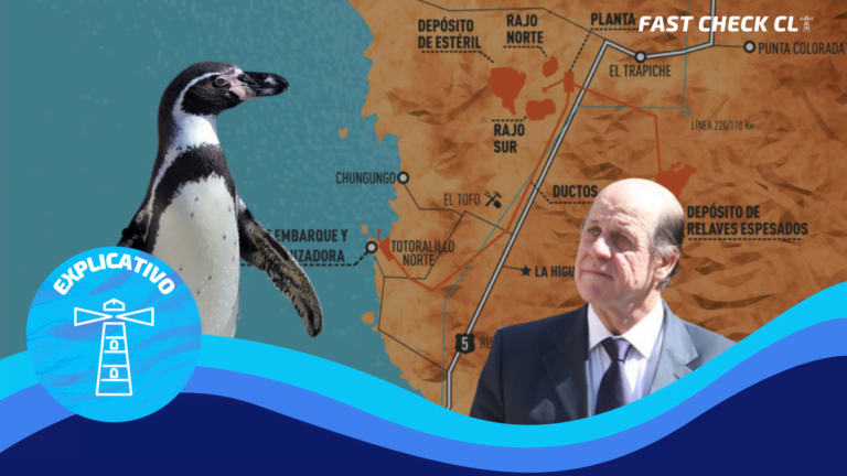 Lee más sobre el artículo ¿Qué es Dominga?: Los principales antecedentes del proyecto minero y portuario en la región de Coquimbo