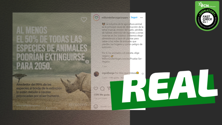 Lee más sobre el artículo “Alrededor del 99% de las especies al borde de la extinción lo están debido a causas provocadas por el ser humano”: #Real