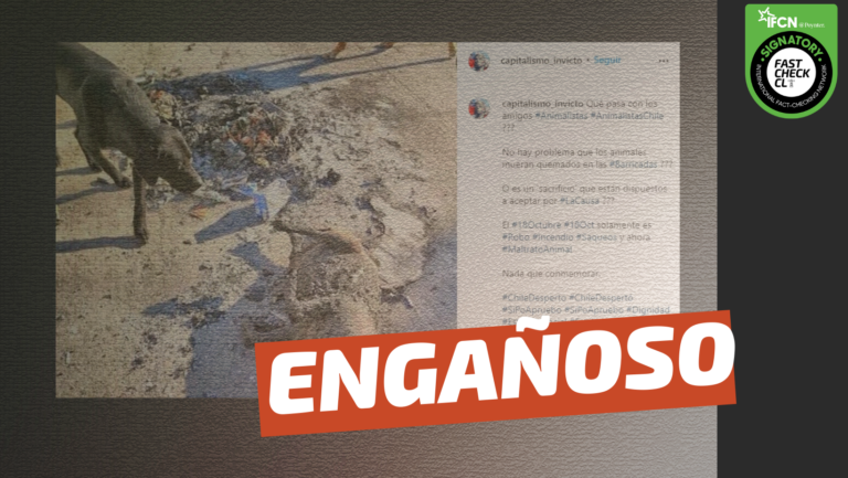 Lee más sobre el artículo (Imagen): Perro fue quemado en barricadas: #Engañoso