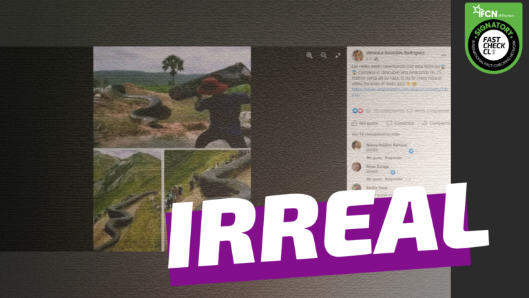 Lee más sobre el artículo “Campesino descubre anaconda de 25 metros cerca de su casa”: #Irreal