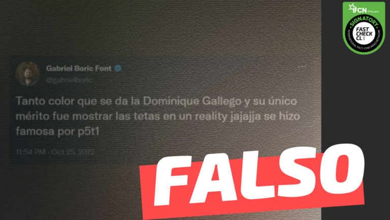 Lee más sobre el artículo Gabriel Boric: “Tanto color que se da la Dominique Gallego y su único mérito fue mostrar las t… en un reality. Se hizo famosa por p5t1”: #Falso