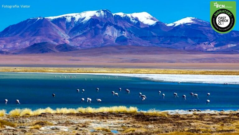 Lee más sobre el artículo La paradoja del litio: una transición a la energía sustentable, pero con impacto ambiental