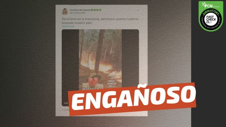 Lee más sobre el artículo (Video) “Terrorismo en la Araucanía, extranjero quema nuestros bosques en nuestro país”: #Engañoso