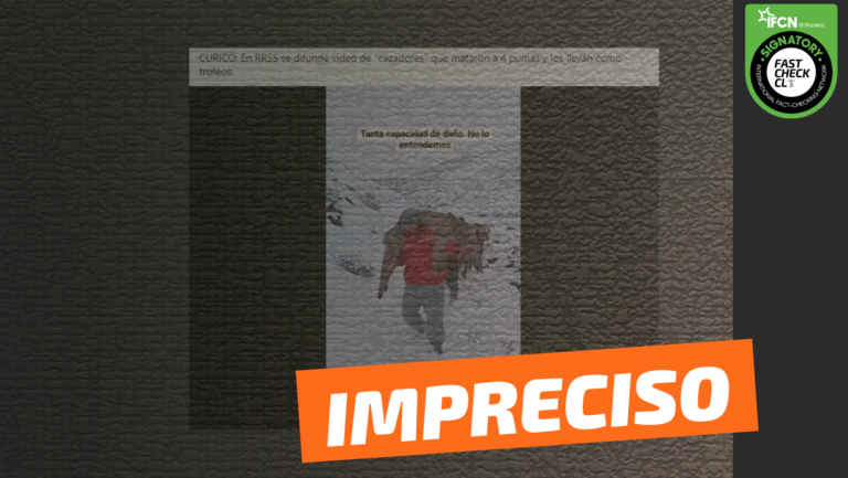 Lee más sobre el artículo (Video) “Curicó: En redes sociales se difunde video de cazadores que mataron a cuatro pumas”: #Impreciso