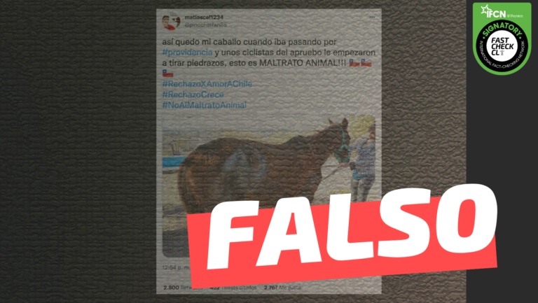 Lee más sobre el artículo (Imagen) “Así quedó mi caballo cuando iba pasando por Providencia y unos ciclistas del apruebo le empezaron a tirar piedrazos”: #Falso