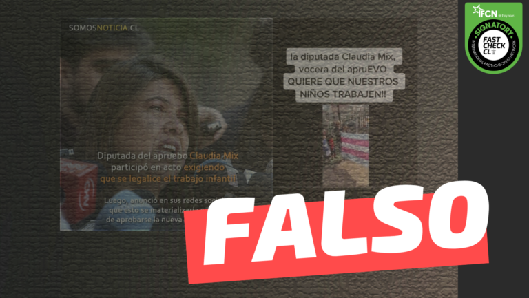 Lee más sobre el artículo Claudia Mix: “(…) Acá en Chile decimos con eufemismos ‘fin al trabajo infantil’, pero los dejamos morirse de hambre”: #Falso