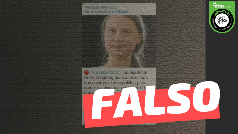 Lee más sobre el artículo “Greta Thunberg pidió a los chinos que dejaran de usar palillos para comer y salvar así cientos de árboles”: #Falso
