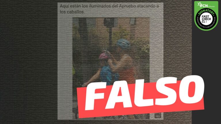Lee más sobre el artículo (Imagen) Ciclista del Apruebo atacando con hondas a los caballos en la marcha del domingo: #Falso