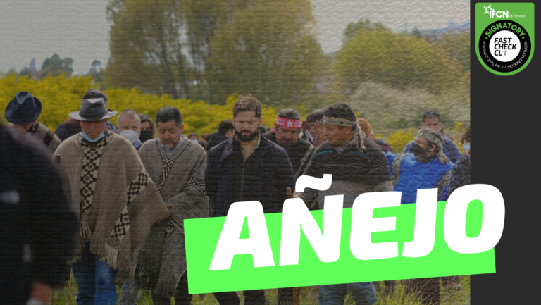 Lee más sobre el artículo (Imagen) “Boric solo, sin guardaespaldas, sin policía, sin corbata, rodeado de lonkos, caminando y conversando junto a él”: #Añejo