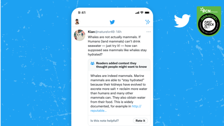 Lee más sobre el artículo Community Notes: La nueva función de Twitter para combatir las fake news￼