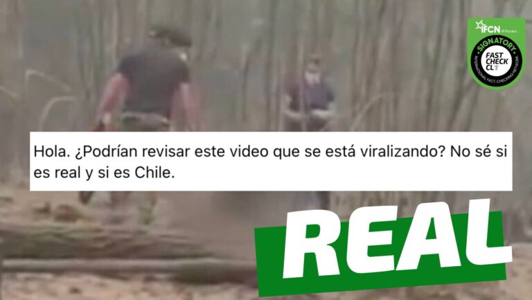 Lee más sobre el artículo (Video) Persona calcinada por incendios forestales de la zona sur: #Real