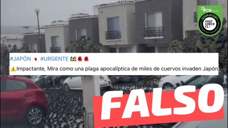Lee más sobre el artículo (Video) “Mira como una plaga apocalíptica de miles de cuervos invaden Japón”: #Falso