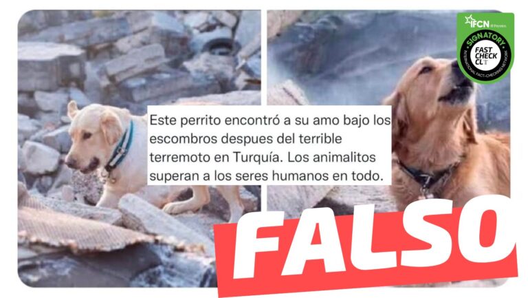Lee más sobre el artículo (Imágenes) “Este perrito encontró a su amo bajo los escombros después del terrible terremoto en Turquía”: #Falso