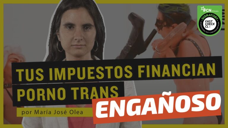 Lee más sobre el artículo (Video) Gobierno de Boric financia “desde reggaetón feminista para niños hasta videos de porno trans”: #Engañoso