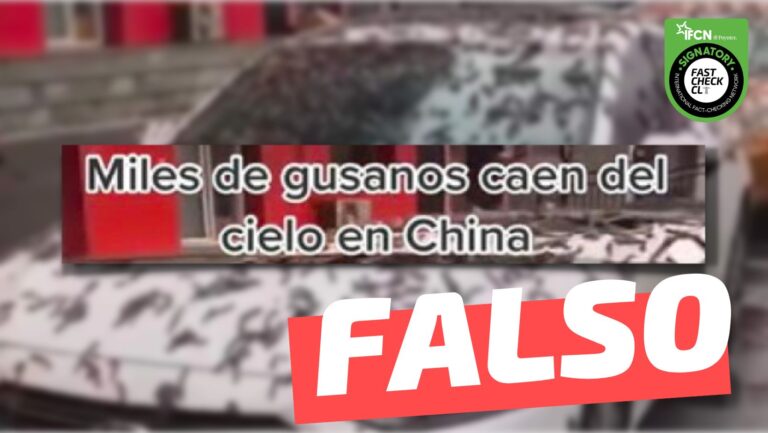 Lee más sobre el artículo (Video) “Lluvia de gusanos en China”: #Falso