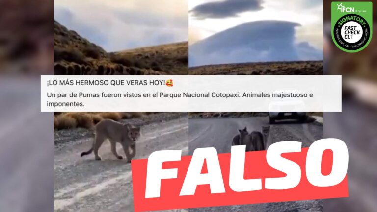 Lee más sobre el artículo (Video) “Un par de pumas fueron vistos en el Parque Nacional Cotopaxi (Ecuador)”: #Falso
