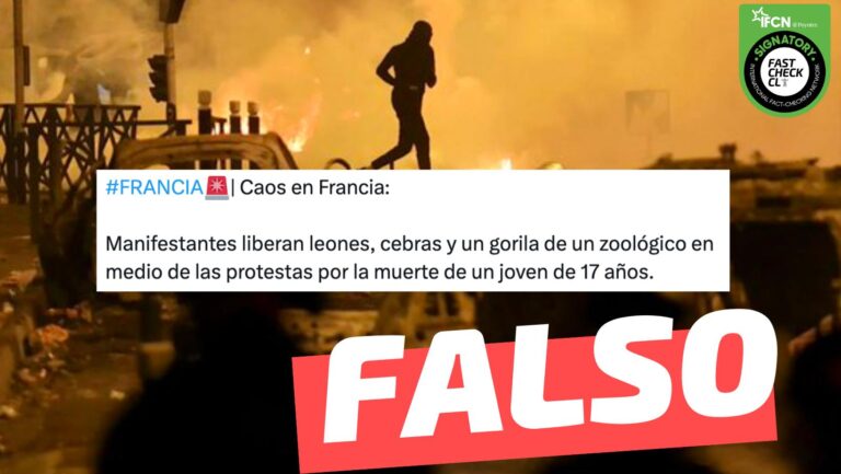 Lee más sobre el artículo (Videos) “Caos en Francia: manifestantes liberan leones, cebras y un gorila de un zoológico en medio de las protestas”: #Falso