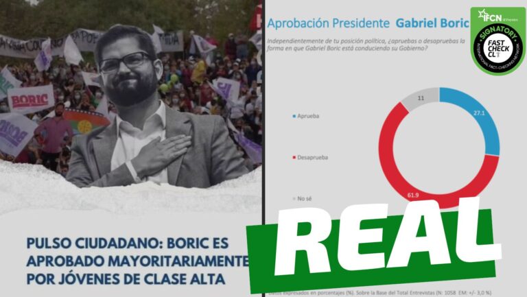 Lee más sobre el artículo (Encuesta) “Pulso Ciudadano: Boric es apoyado mayoritariamente por jóvenes de clase alta”: #Real