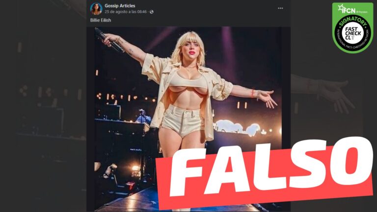 Lee más sobre el artículo Imagen de Billie Eilish en un concierto: #Falso