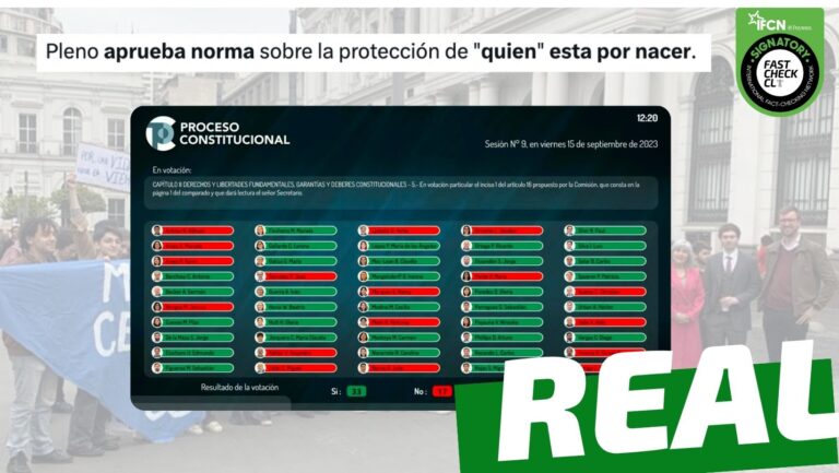Lee más sobre el artículo Consejo Constitucional aprobó inciso que establece que “la ley protege la vida de quien está por nacer”: #Real