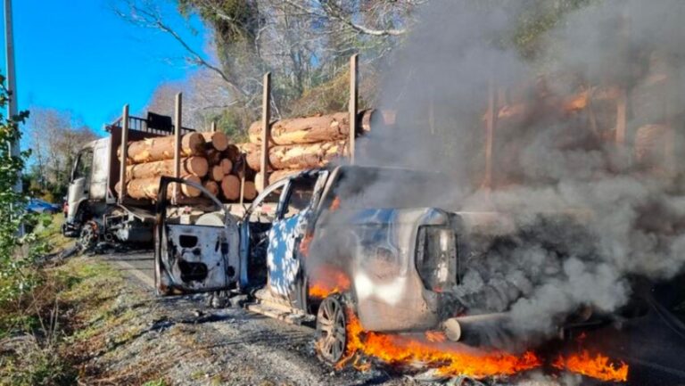 Lee más sobre el artículo ¿Qué es la Resistencia Mapuche Lafkenche? El grupo radicalizado de la macrozona sur