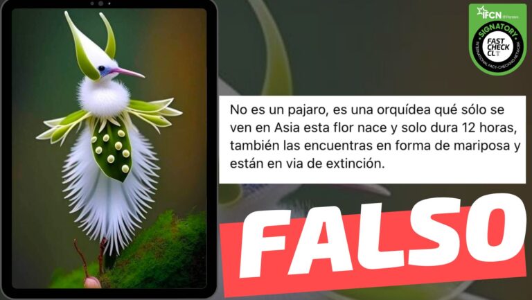 Lee más sobre el artículo (Imagen) “No es un pájaro, es una orquídea que solo se ve en Asia”: #Falso