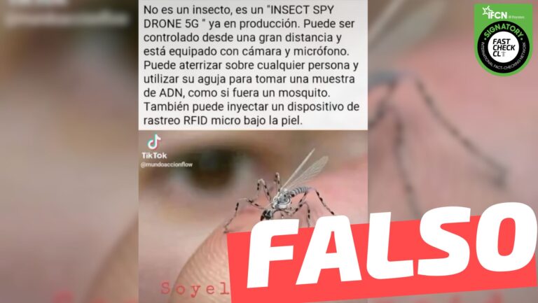 Lee más sobre el artículo (Imagen) “No es un insecto, es un ‘Insect Spy Drone 5G’ ya en producción”: #Falso