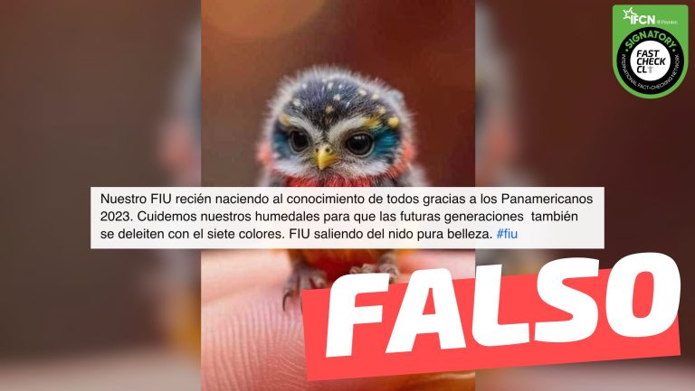 Lee más sobre el artículo (Imagen) “Nuestro Fiu recién naciendo”: #Falso