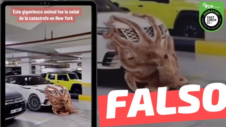 Lee más sobre el artículo (Video) “Este gigantesco animal fue la señal de la catástrofe en New York”: #Falso