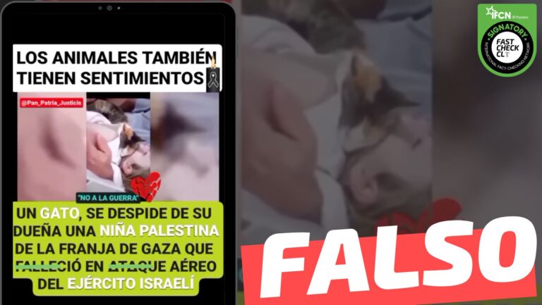 Lee más sobre el artículo (Video) “Un gato se despide de su dueña, una niña palestina de la Franja de Gaza que falleció en ataque aéreo israelí”: #Falso