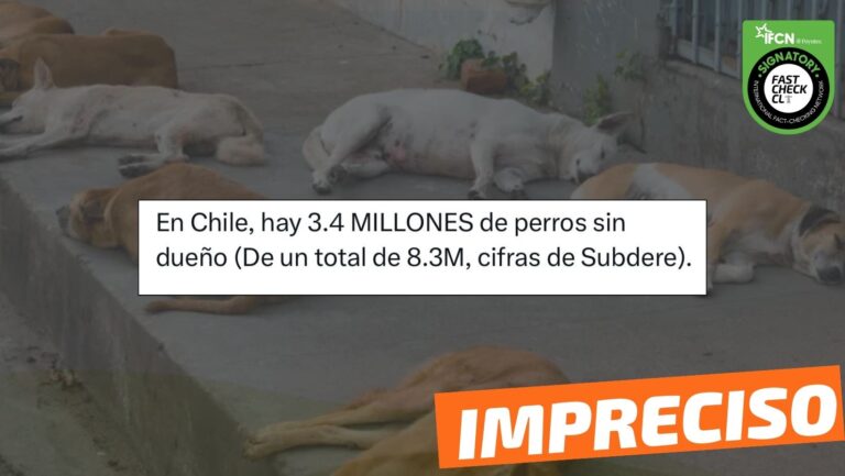 Lee más sobre el artículo “En Chile, hay 3.4 millones de perros sin dueño, de un total de 8.3 millones”: #Impreciso
