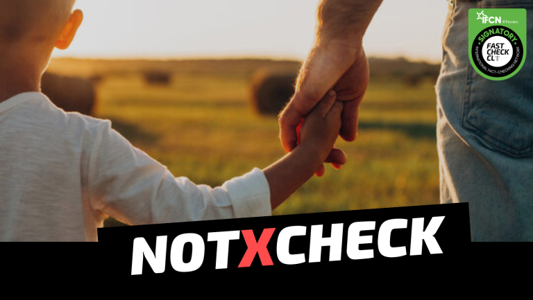 Lee más sobre el artículo Not Check: ¿Será inconstitucional la “Ley Papito Corazón”?
