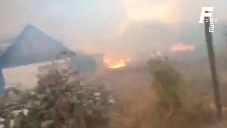 Lee más sobre el artículo Alerta Roja: Se registra nuevo incendio forestal en Melipilla
