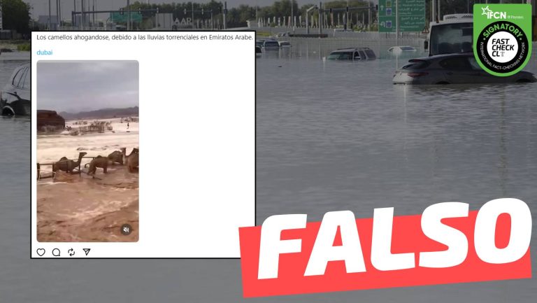 Lee más sobre el artículo (Video) “Los camellos ahogándose debido a las lluvias torrenciales en Emiratos Árabes”: #Falso