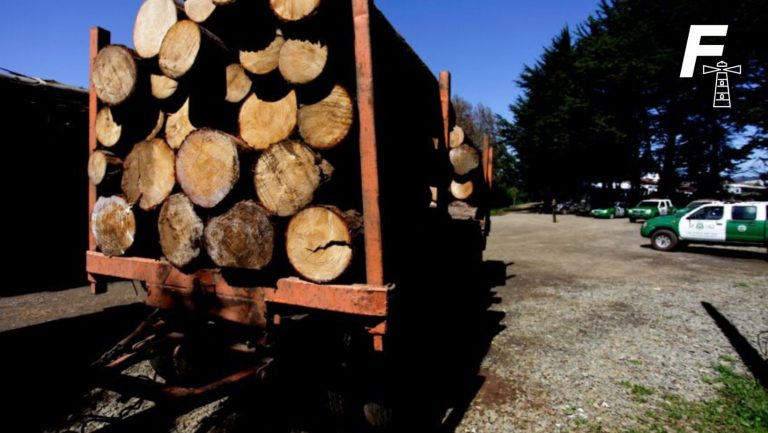 Lee más sobre el artículo Desarticulan grupo dedicado al robo y venta ilegal de madera en Collipulli: poseían tres aserraderos móviles 