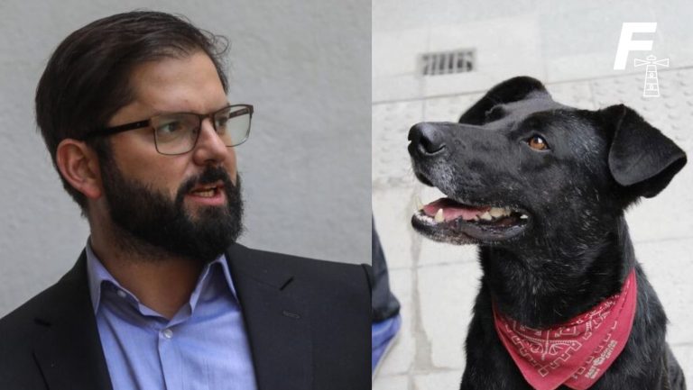 Lee más sobre el artículo “Jamás festiné ni me hizo ningún sentido esta imagen burda del perro aquel”: presidente Boric sobre el “Perro Matapacos”