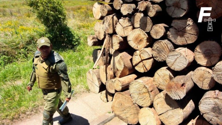 Lee más sobre el artículo Revocada libertad vigilada: Condenados por robo de madera cumplirán pena de cárcel