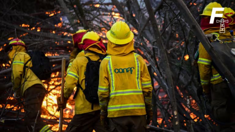 Lee más sobre el artículo Conaf sufre robo durante investigación por incendios en Viña del Mar y Quilpué: ¿Qué sabemos hasta ahora?