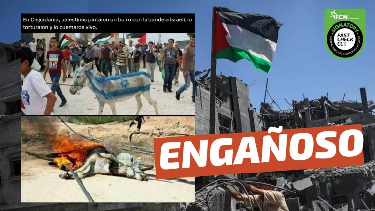Lee más sobre el artículo (Imagen) “Movimientos pro Palestina pintaron un burro con los colores de la bandera de Israel y lo quemaron vivo”: #Engañoso
