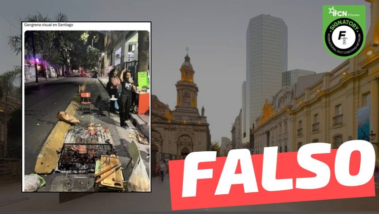 Lee más sobre el artículo (Imagen) Parrillada improvisada en las calles de Santiago Centro: #Falso