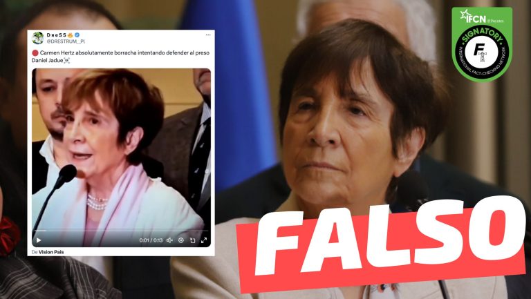 Lee más sobre el artículo (Video) “Carmen Hertz absolutamente borracha intentando defender al preso Daniel Jadue”: #Falso