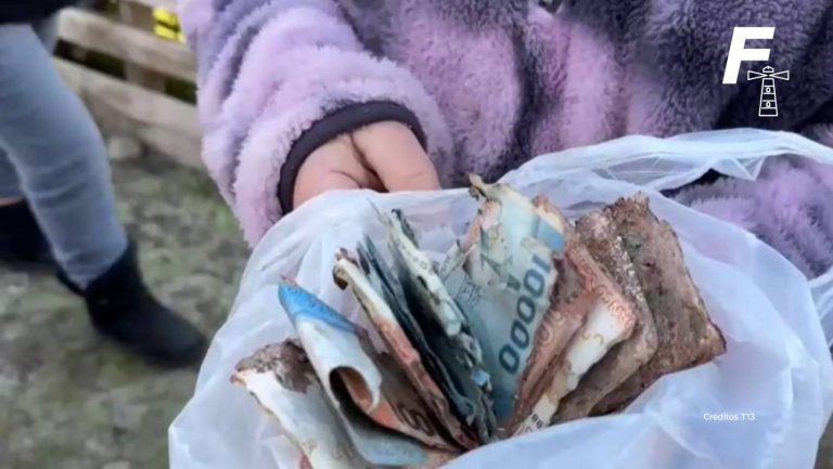 Lee más sobre el artículo Enterraron sus ahorros y el sistema frontal los destruyó: familia de Curicó perdió $3 millones en efectivo