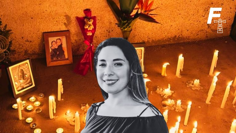 Lee más sobre el artículo Recibió 97 puñaladas: ¿qué sabemos del asesinato a Camila Rojas y la formalización en contra de Francisco Novoa?