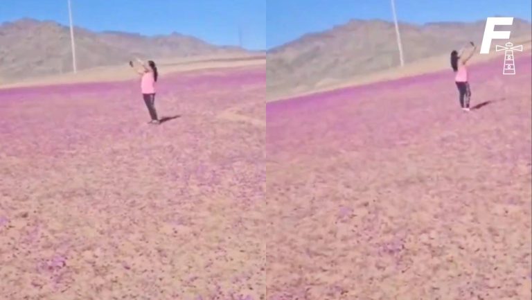 Lee más sobre el artículo Mujer pisa flora del Desierto Florido y provoca la molestia de los testigos